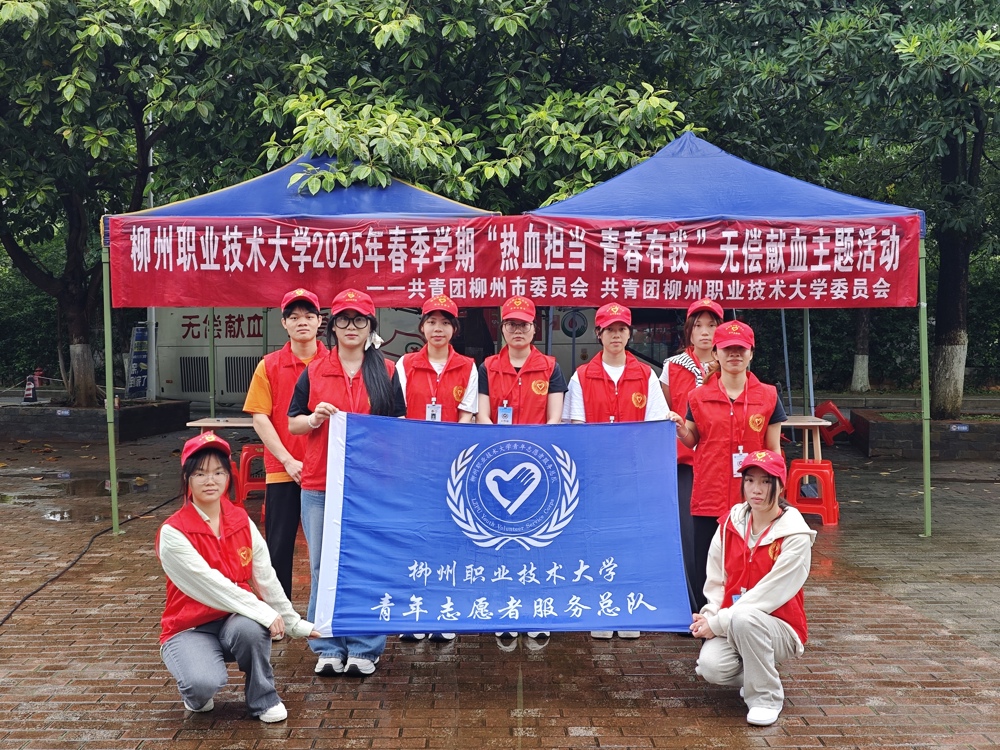 图示, 示意图&#10;&#10;中度可信度描述已自动生成:ver1