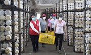 脱贫攻坚战场上的铿锵玫瑰——记全国脱贫攻坚先进个人、平乐县张家镇老埠村第一书记唐莉
