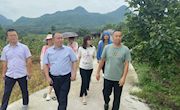 电商助农梨香飘十里，下乡普惠幸福千万家  汇新媒力量，筑梦里高镇 直播电商产业学院为青花梨电商助力